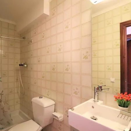 Dallas 1 Atic 2 Appartement
